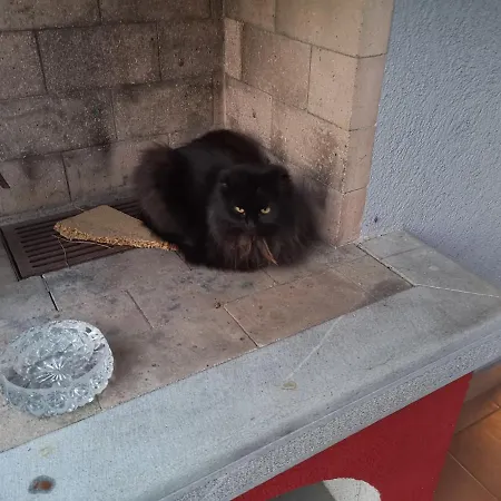 Casa Gamberini Collalto