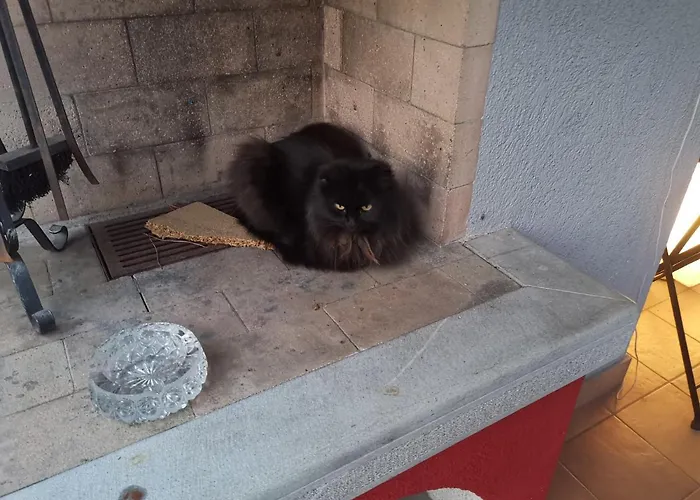 Casa Gamberini Collalto